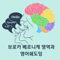 브로카 베르니케영역과 영어쉐도잉
