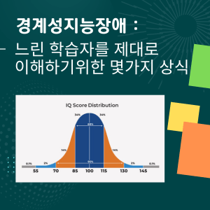 경계성지능장애