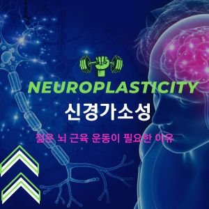 neuroplasticity신경가소성