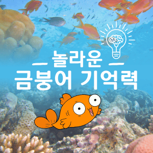금붕어 기억력