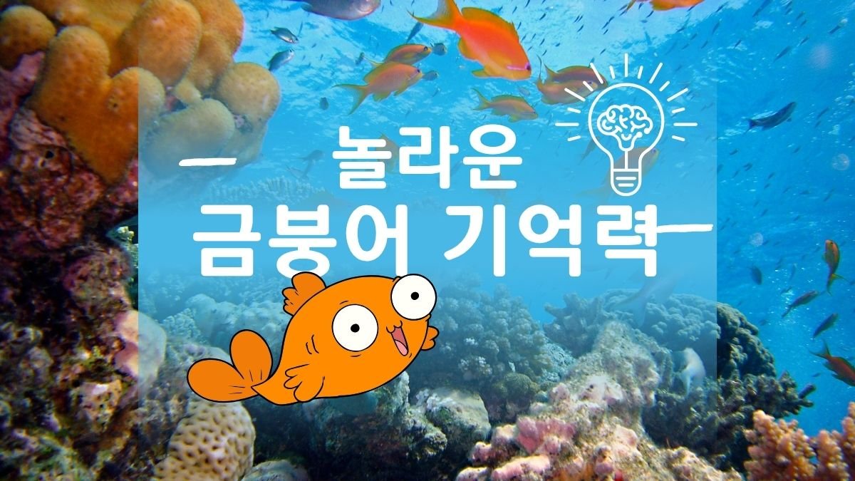 금붕어 기억력