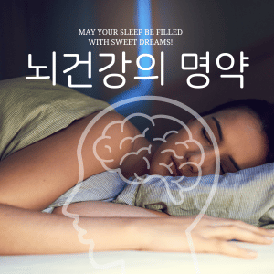 뇌건강의 명약