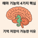 해마 기능의 4가지 핵심
